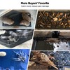 Glue Traps for Mice 12 Pack, Mouse Rat Taps, Extra