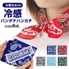 Coolbit Bandana, Neck Cooler, Handkerchief, Head, Wrap, Neck Area, Comfortable,