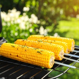 Norpro 8775 Stainless Steel Flat Skewers, Set of 6, 12.5" in length