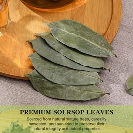 FullChea - Soursop Leaves, 170+ Hojas De Guanabana - Premium Soursop Leaves Tea - Guanabana Leaves - Non-GMO - Caffeine-free - Improve Digestion, Support Skin & Sleep