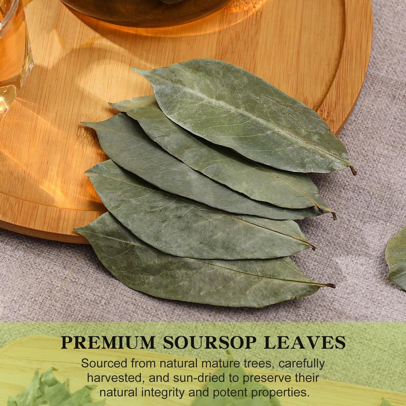 FullChea - Soursop Leaves, 170+ Hojas De Guanabana - Premium