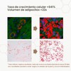CELDYQUE- Sérum Volufiline 100% puro: Experimente la potencia completa del