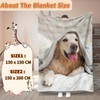 LLTTEER Dog Printed Cuddly Blanket, Children's Blanket 3D Print Animal