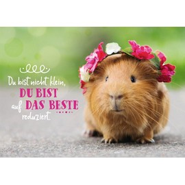 Gutsch Verlag Friendship Postcard with Guinea Pigs & Flowers - Cute Animal Greeting with Saying, Humorous Gift for Optimism
