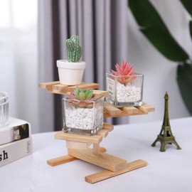 SZCYKJMY 3 Tier Succulent Windowsill Shelf Holders Flower Stand, small desktop plant rack, as well as small wooden display rack and potted plant rack - Indoor wooden plant rack