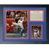 Legends Never Die "David Tyree The Catch Framed Photo Collage, 11 x 14-Inch (11770U)