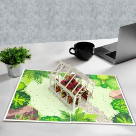Multi Colour Rose 3D Pop Up Birthday Cards Greeting Cards Laser Cut Greenhouse Flower Room for Mom Kids Friends Colleagues Lovers & All Occasions