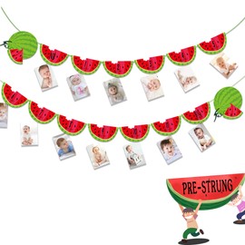Watermelon Photo Banner Watermelon Party Supplies One in a Melon 1st Birthday Party Supplies Decorations Monthly Milestone Summer Fruit themed Party Decor