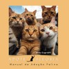  Adote Alegria: Manual de Adoção Felina (Portuguese Edition)