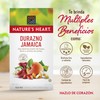 Nature's Heart Té de Durazno, Naturalmente sin Cafeína - 20