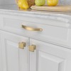Amerdeco 10 Pack Champagne Bronze Cabinet Pulls 3 Inch(76mm) Hole