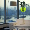 DSBAOMA Wall Mounted Fish Bowl Hanging Betta for Aquarium Wall