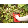 Linden Sweden Jonas Berry Picker Tool | Rake Comb for