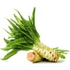 KIRA SEEDS - Seeds Asparagus Lettuce Celtuce - 65 Days