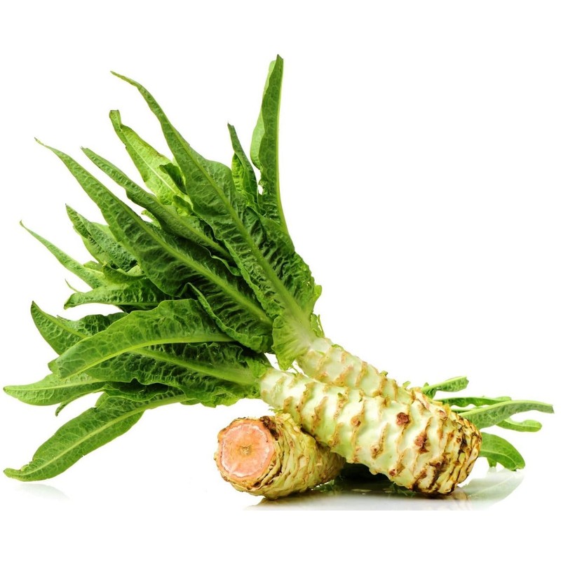 KIRA SEEDS - Seeds Asparagus Lettuce Celtuce - 65 Days