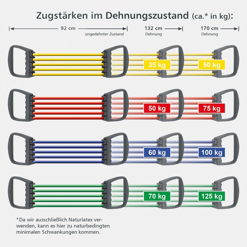 Schmidt Sports Elastikon Chest Expander II