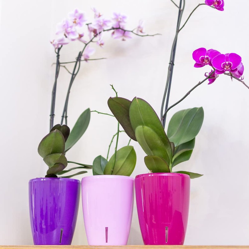 SANTINO Orchid Pot Diameter 15 cm Self-Watering Pot with Wick