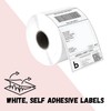 Deco Fluer 1-500 Labels 4 x 6 Inch Ideal for