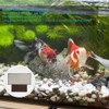 Solar Digital Dispaly LED Temperature Measurement Fish Tank Aquarium Thermometer