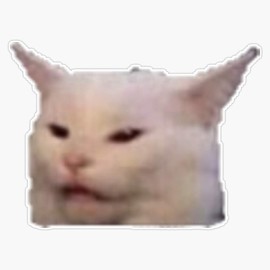 Cat Meme Sticker Waterproof Vinyl Window Bumper Sticker Decal 5"