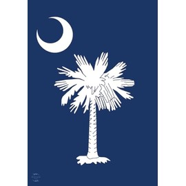 Briarwood Lane South Carolina Palm Tree House Flag