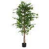 Christopher Knight Home Luke 74''H Pre-Potted Artificial Tree Indoor, Artificial
