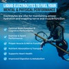 PROTEKT Electrolyte Packets for Recovery & Hydration | Organic &