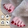 Square False Toenails Short - 24Pcs Red Cat Eye Press
