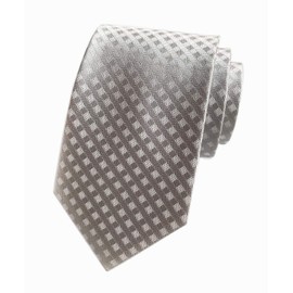 Men's Boy Junior Ties Softness Amazing Silk Grey Gingham Luxury Wedding Neckties