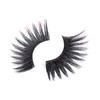 Cherishlook Professional 10packs Eyelashes - #301