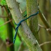 Woodside Green Plastic Coated Steel Garden Wire 1.2mm x 120m
