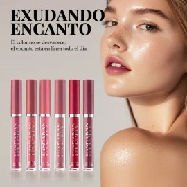 Set De 6 Labiales Handaiyan Lápiz Labial Color Rojo Mate