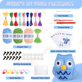 6PCS Crochet Kit for Beginners, Knitting Starter Pack for Adults and Kids，Amigurumi Crocheting Animals Kits with Step-by-Step Video Tutorials Dinosaur, Rainbow Bee,Unicorn，Elk, Panda or Zebra (B)