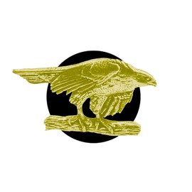 B2 Hawk CHROME GOLD COLOURED English Pewter on an Air Freshener fits on a Vent Clip Kit Decoration