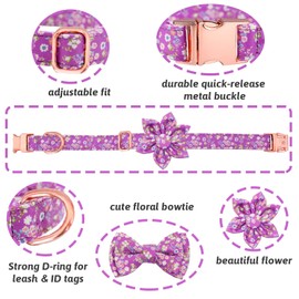 HSIGIO Dog Collar and Leash Set Girls Adjustable Puppy Collars with Floral Bow Tie for Small Medium Large Female Dogs (L, Purple Daisy)