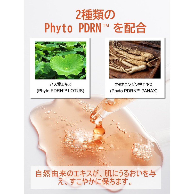 KisoCare Derived from Salmon PDRN Niacinamide High Moisturizing Skin Serum