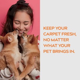 Dynamic Element Unscented Pet Odor Eliminator Spray – Mineral-Based Spray to Tackle Cat Urine, Litter Box, and Bedding Odors – 9 Fl Oz