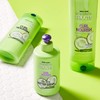 Garnier Fructis Curl Nourish Sulfate-Free and Silicone-Free Shampoo Infused with