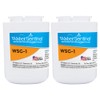 WaterSentinel WSG-1 Refrigerator Replacement Filter: Fits GE, MWF Filters (2-Pack),Blue