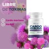Cardo Mariano 500mg - 2 Frascos - 100 Cápsula Por