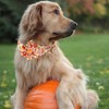 Babole Pet Fall Dog Flower Bow Tie Collar Adjustable Thanksgiving