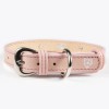 Collar Piel Perro Lujo Con Placa De Identificación Grabada