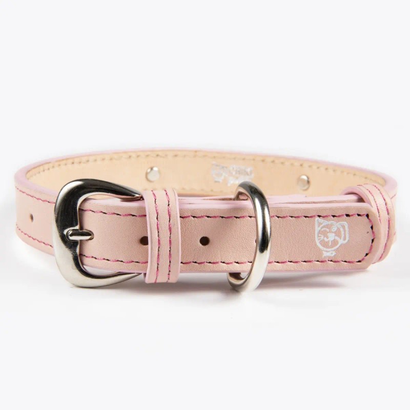 Collar Piel Perro Lujo Con Placa De Identificación Grabada