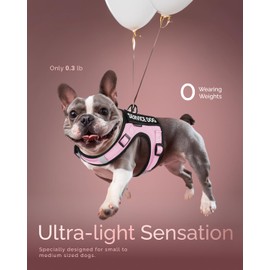 FAYOGOO Service Dog Vest for Small Dogs - Air Mesh Breathble Emotional Support Animal Vest with DIY Removable Patches - Puppy Harness and Leash Set Adjustable Neck and Chest