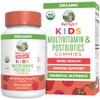 Mary Ruth Organics Multivitamínico Orgánico Niños Gomitas Posbióticas Postbióticas