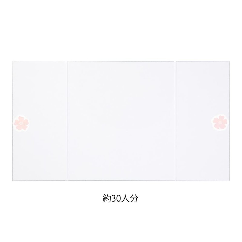 Midori 33265006 Shikishi Color Shikishi, Double Opening, Ribbon, Floral Pattern