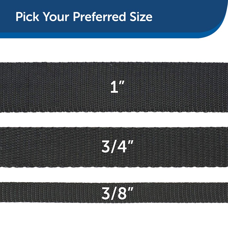 PetSafe Nylon Dog Leash - Strong, Durable, Traditional Style Leash