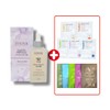 Eveever Elasticity Ampoule 100ml Skin Nutrition Elasticity Snow Ampoule /