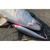 Shimano OT-145K 001 Oshia Lure, Bespoke Heimasa, 145F, Kyorin Sardine
