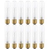 Xtricity 25 Watt T10 Clear Tubular Incandescent Light Bulb, Showcase